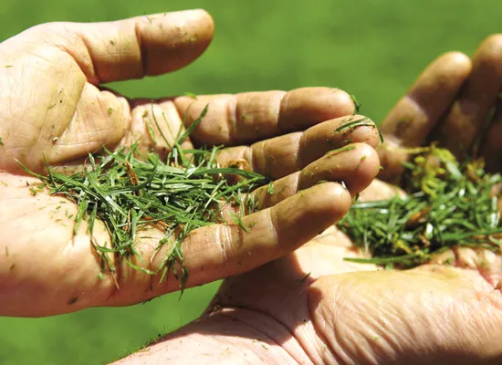 Rasenmäher | AL-KO MaxAirflow Technology nie mehr grüne Finger beim Rasenmähen